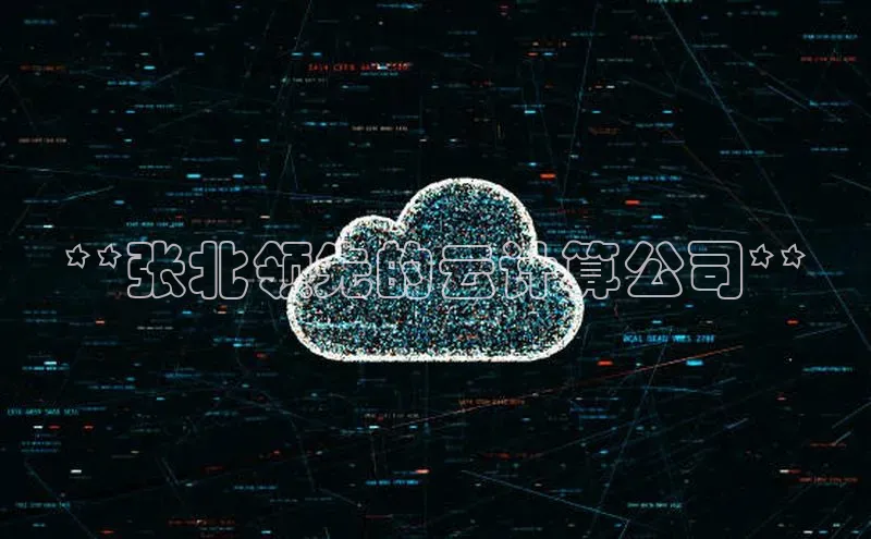 杏悦登陆赛富乐斯**张北领先的云计算公司**