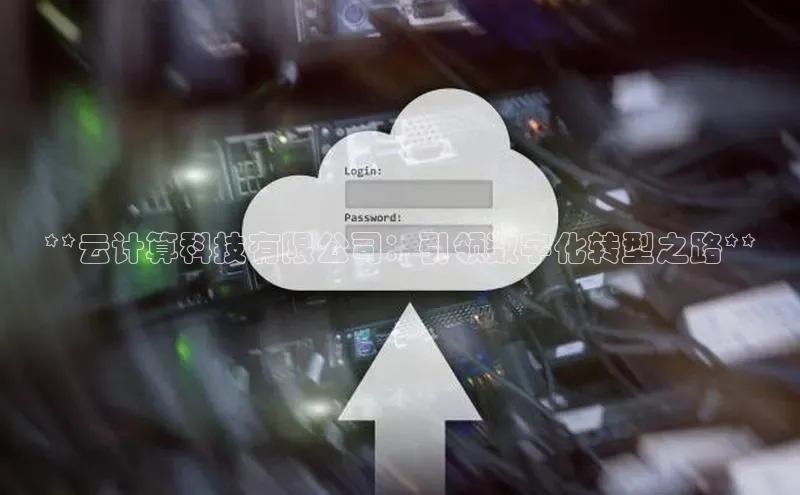 杏悦娱乐官网入口登录注册轻美电器**云计算科技有限公司：引领数字化转型之路**