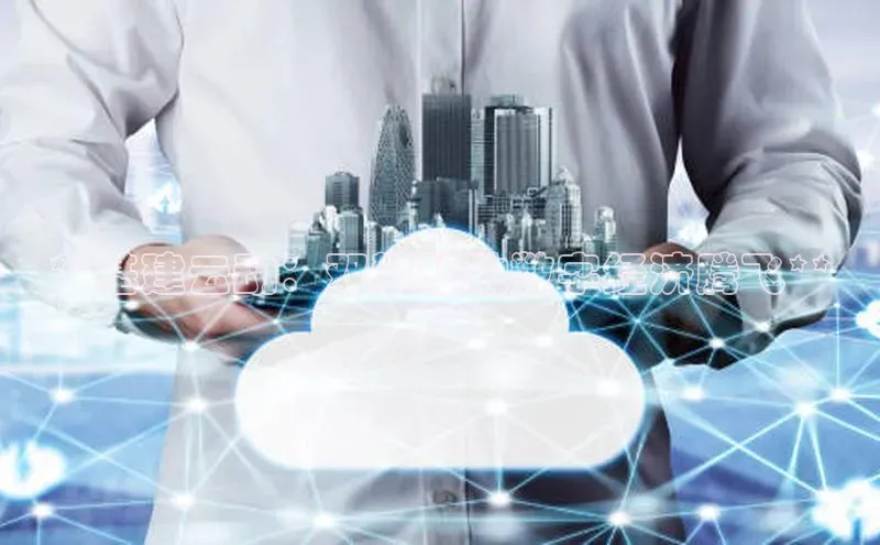 杏悦股东z176五827梨小米**基建云动：双擎驱动数字经济腾飞**