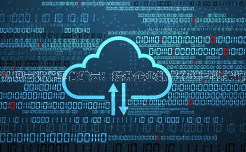 杏悦1平台登录入口百度社团赞助平台认识云计算平台唯云：提升企业数字化转型的关键