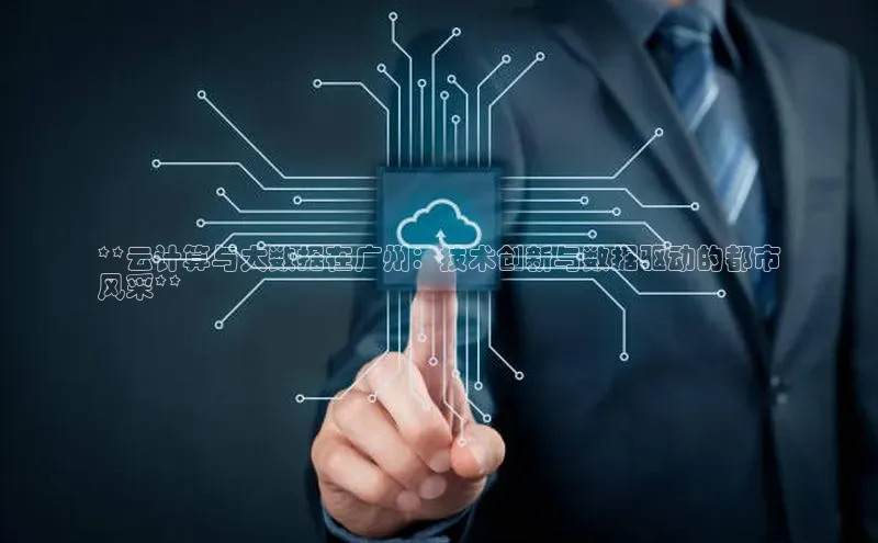 杏悦登陆赛富乐斯**云计算与大数据在广州：技术创新与数据驱动的都市
风采**