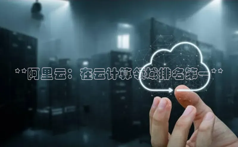 杏悦APP官网中文在线**阿里云：在云计算领域排名第一**