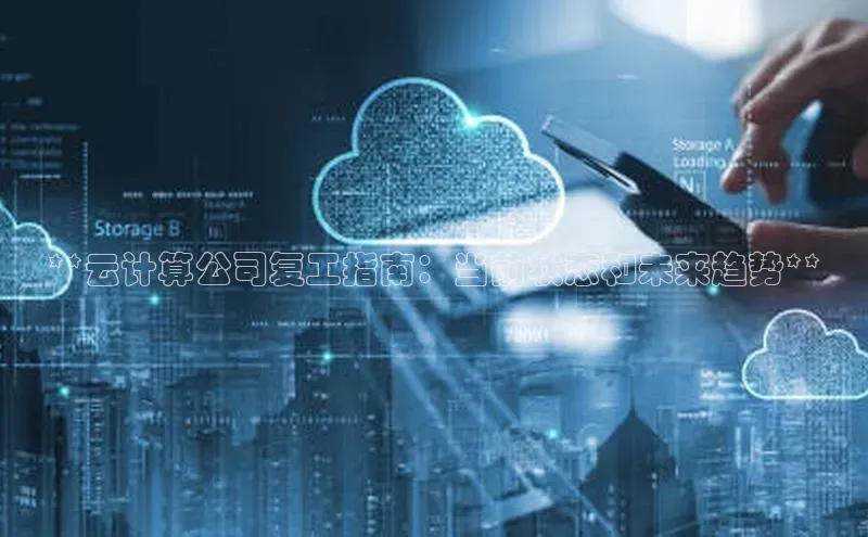 杏悦股东z176五827梨文心一言**云计算公司复工指南：当前状态和未来趋势**