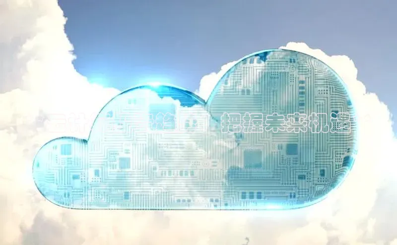 杏悦APP官网中文在线**云计算投资趋势：把握未来机遇**