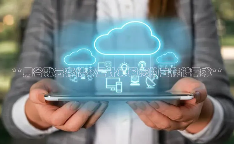 杏悦娱乐注册平台百度翻译**用谷歌云存储容量计算器您的云存储需求**