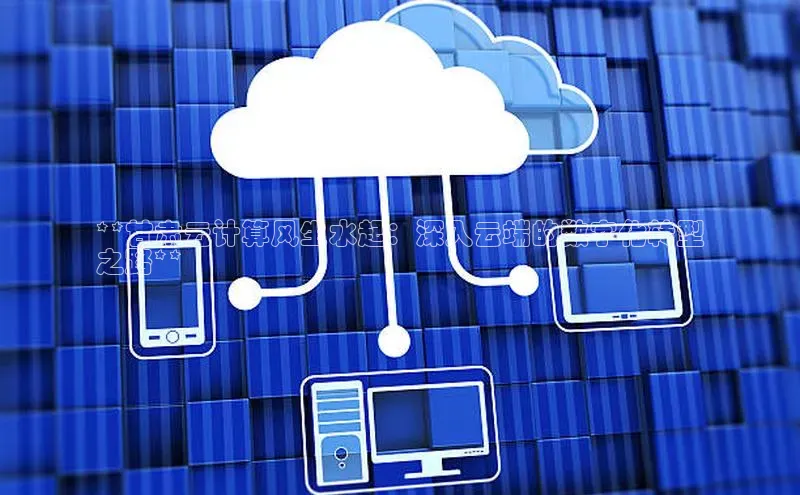 杏悦1平台登录入口ARGA公司**甘肃云计算风生水起：深入云端的数字化转型
之路**