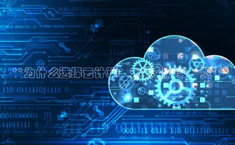 杏悦vip登录入口神思电子**为什么选择云计算：云服务优势一览**