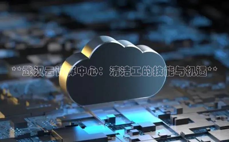 杏悦会员官网登录入口携程**武汉云计算中心：清洁工的技能与机遇**