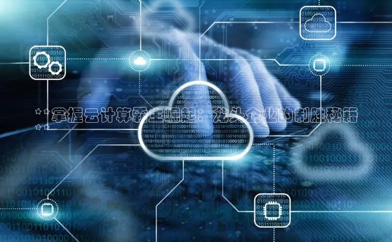 杏悦APP官网百家号**掌握云计算霸主崛起：龙头企业的制胜秘籍
**