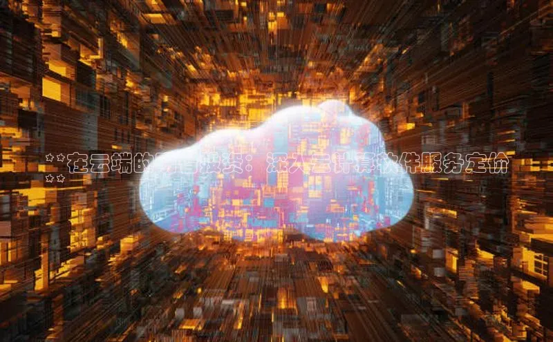 杏悦娱乐官方网站入口普信公司**在云端的明智投资：深入云计算软件服务定价
**