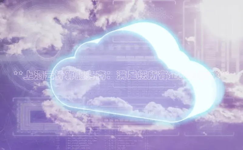 杏悦登陆路线百度智能门户**上海云计算服务商：满足您所有企业云需求**