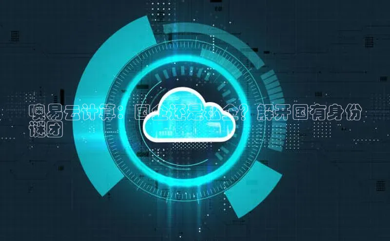 杏悦APP官方网站入口字节跳动噢易云计算：国企还是私企？解开国有身份
谜团