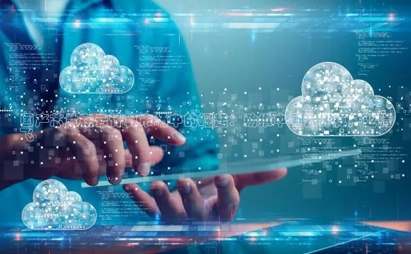 杏悦会员官网登录入口携程国产芯片在云计算市场中的崛起：助推中国云计算产业腾
飞