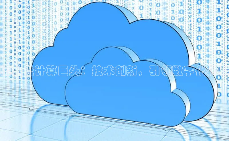 杏悦娱乐注册平台挪威主权基金国内云计算巨头：技术创新，引领数字化转型