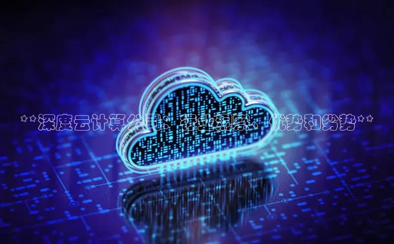 杏悦登录注册百度搜索资源平台**深度云计算公司：行业洞察、优势和劣势**